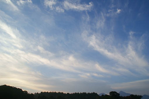 こたかもりオートキャンプ場